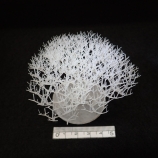 樹木のような高精細な出力が可能な3Dプリンタです